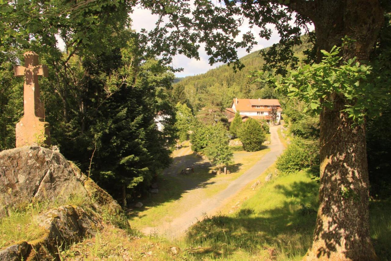 Hotel Notre Dame Des Monts Ban-sur-Meurthe-Clefcy Exterior foto