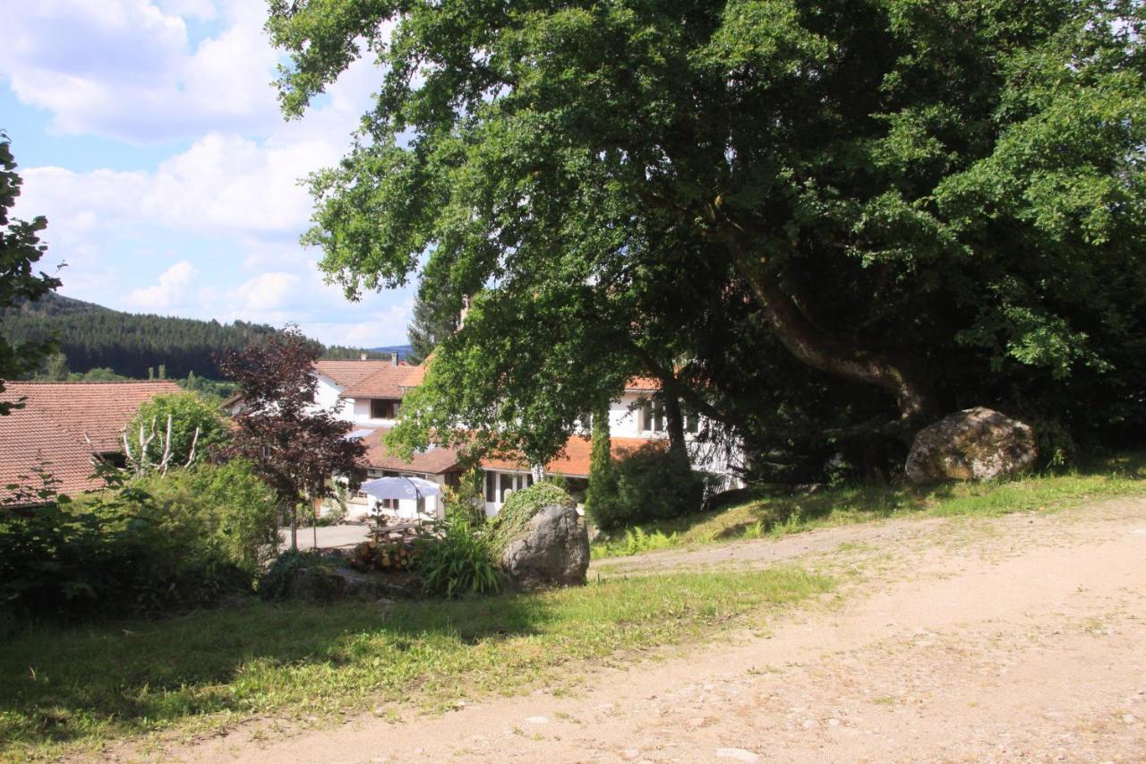 Hotel Notre Dame Des Monts Ban-sur-Meurthe-Clefcy Exterior foto